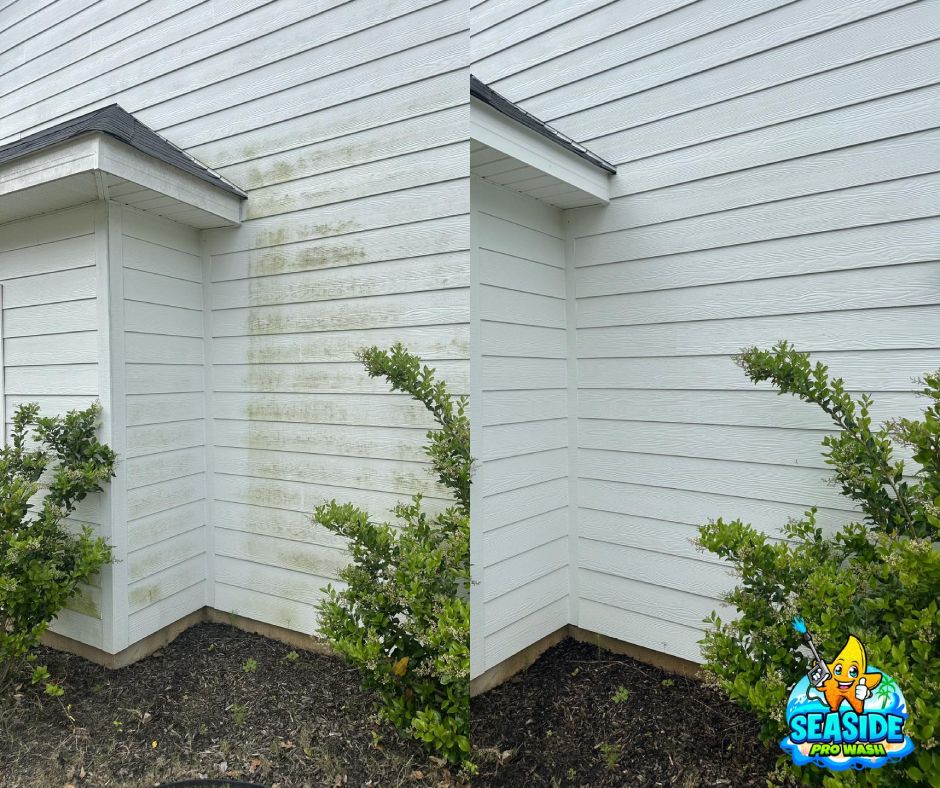 Pressure Washing Mt. Pleasant, SC