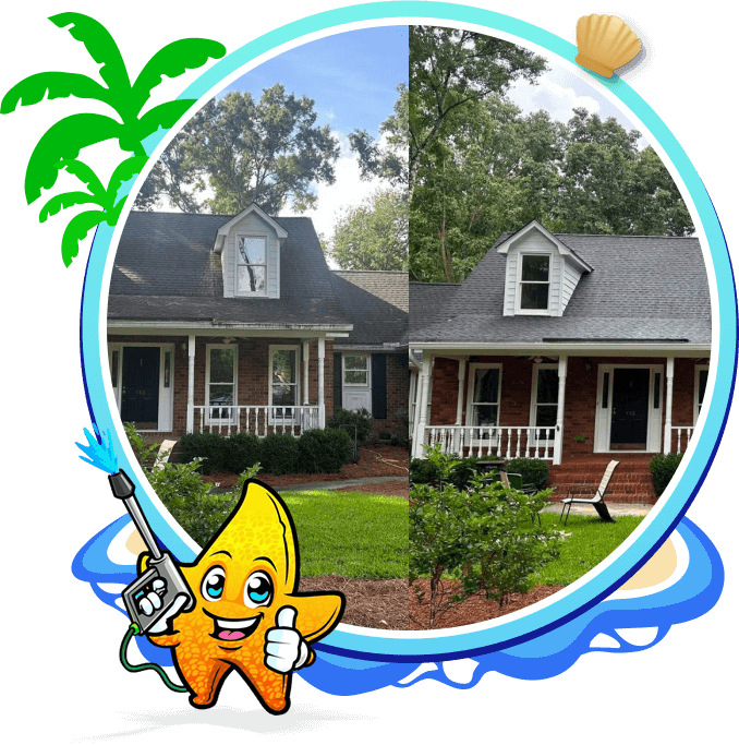 Roof Cleaning Charleston, SC